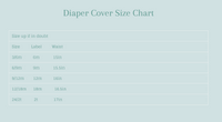 Diaper Cover - Gingham